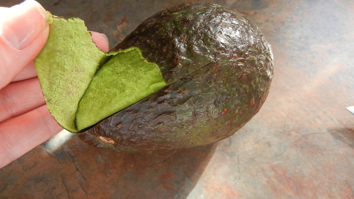 avocadoschillen