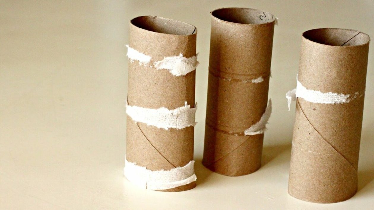 toiletpapierrollen