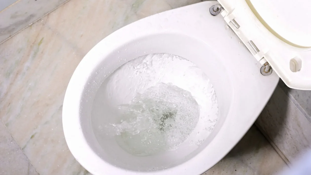 toilet