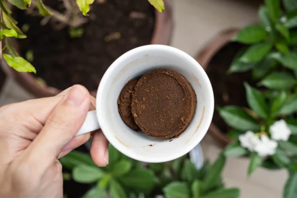koffiedik