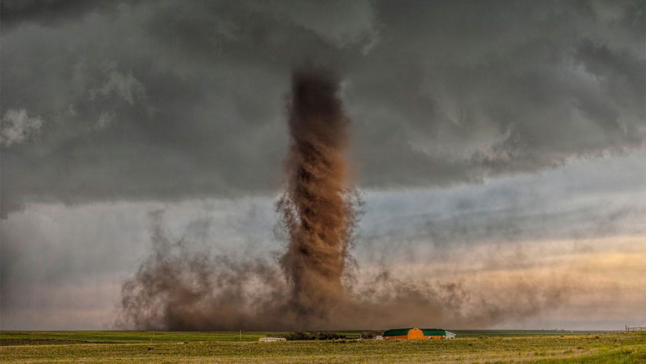 tornado's