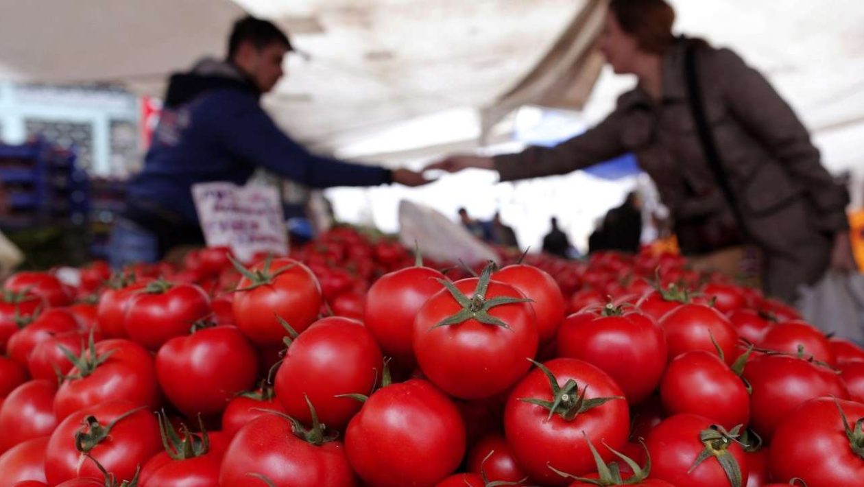 tomaten